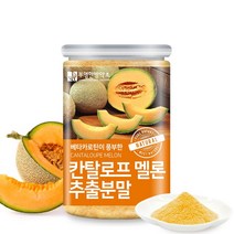 부영한방약초 칸탈로프 멜론 추출 분말, 300g, 1개