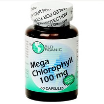 월드오가닉 메가 클로로필 100mg 캡슐, 60개입, 1개