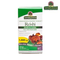 네이쳐스앤서 레이시 1000mg 베지테리안 캡슐, 90개입, 1개