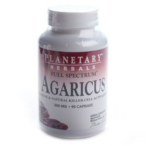 플래너터리허벌스 아가리커스 500mg 캡슐, 90개입, 1개, 90정