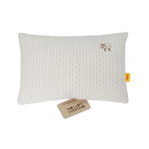[꼭지] 오가닉베베필로, 주주