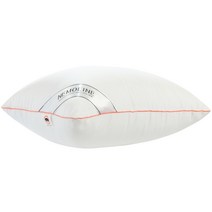 네모라인 고급형 다운필 베개솜, 화이트, 1개