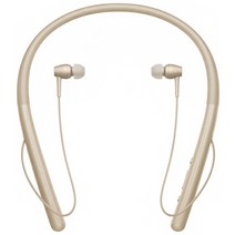 소니 hear in 2 Wireless 블루투스 스테레오 헤드셋, WI-H700, 페일 골드