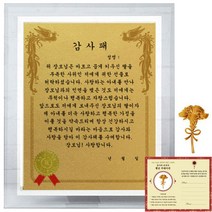 럭키심볼 크리스탈 감사패 8G 장모님 감사패 + 24K골드 카네이션 전자파 스티커