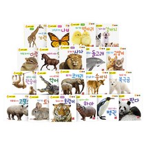 병아리 자연동화 세이펜버전 51종, 훈민출판사