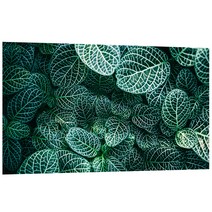 UVDS 아트보드 주방시트지 그린앤화이트, 1개