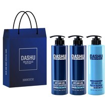 다슈 데일리 한방 두피 골드 샴푸 500ml x 2개 + 안티헤어로스 단백질 트리트먼트 500ml + 쇼핑백, 1세트