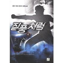 질풍처럼 4:운사 현대 판타지 장편소설, 영상출판미디어(영상노트), 운사