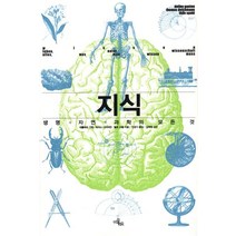 [이끌리오]지식, 이끌리오, 틸로 슈팔