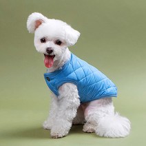 쁘띠도그 강아지 패딩조끼 DWV005, 블루