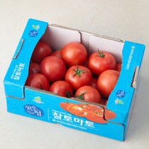 강원 맑은청 찰토마토, 3kg, 1개