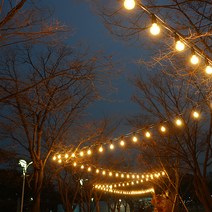 스트링월드 스트링라이트 전등선 30m 30소켓 + 인치구 3W 30p + 갓 30p 세트, 블랙(전등선), 화이트(갓), 주광색(인치구)