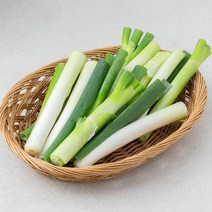 GAP 국내산 절단대파, 500g, 1개