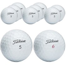 타이틀리스트 PRO V1 V1X 혼합 로스트볼 2등급, 화이트, 1개, 10개