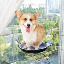아리코 DrMini 고양이 유리 흡착 해먹, 그레이