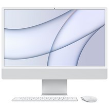 Apple 2021 아이맥 24, 실버, M1, Apple M1 7 core, SSD 256GB, 16GB, Retina 4.5K, 미지원, Z13K0002A, CTO