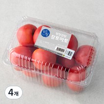 강원 맑은청 청정 찰토마토, 2kg, 4개