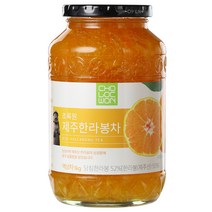 초록원 제주 한라봉차, 1kg, 1개