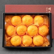 귤탐 고당도 레드향 선물세트, 3kg(9~13과), 1세트