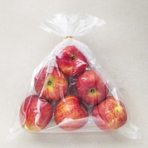 곰곰 고지대(해발 200m 이상)재배 GAP 당도선별 사과, 1.5kg, 1개