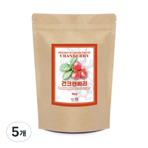 견과공장 건크랜베리, 500g, 5개