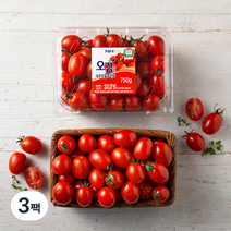 충남세도 GAP 인증 대추방울토마토, 750g, 3팩
