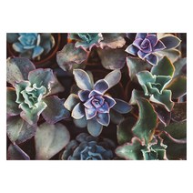 북유럽 스타일 인테리어액자 (A1), art no. 0128