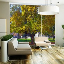 프렌체 프렌체 나무벽지, TN-317