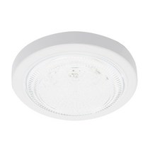 샛별하우스 아이리스 LED 베란다등 직부 15W, 화이트