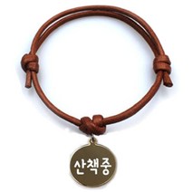 펫츠룩 굿모닝 카라멜 반려동물 목걸이 M + 메탈원형 팬던트 S, 골드(산책중), 1개