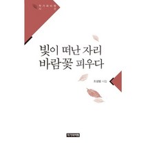빛이 떠난 자리 바람꽃 피우다:조성범 시집, 작가와비평, 조성범 저