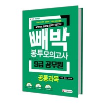 빼박 9급 공무원 봉투모의고사 공통과목(2018):국어 영어 한국사, 시대고시기획