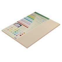 종이문화 친환경색지 레인보우카드 No.3 베이지, A3, 20매