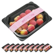 도나앤데코 일회용 1칸 사각 블랙 도시락 10p + 맛있게드세요 벚꽃띠지 핑크 10p, 1세트