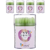 리빙웰 녹말 이쑤시개 원통 중, 250개입, 5개