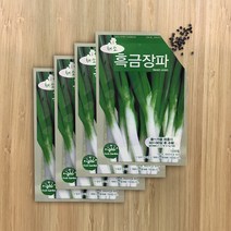 BFA 채소씨앗 흑금장파, 4개입