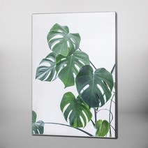 RYMD 몬스테라 플랜트 엣지 액자, 블랙