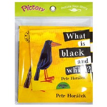 Pictory Set IT-20: What is Black and White? (with Audio CD ), 투판즈
