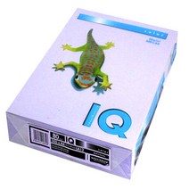 몬디 IQ COLOR 색상지 LA12 라벤더 80g, A4, 500개