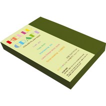 뉴씨플레인 종이문화 양면색상지 No41 올리브색 140p, 1개