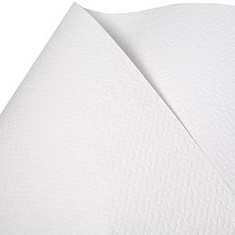 삼원 에코클로스지 F패턴 120g 4절 1백색, 20개입