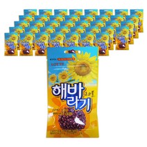 롯데제과 해바라기 초코볼, 30g, 40개입