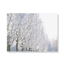 리틀하이커 Tree 캔버스 프린팅 액자 A3W36 41