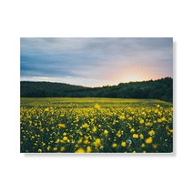 리틀하이커 flower 캔버스액자 A3W35 190