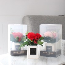 모리앤 비누꽃 고마운 사랑 카네이션화분세트 레드 2p + 핑크, 혼합 색상, 1세트