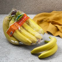 바나나1.5 추천상품 정리