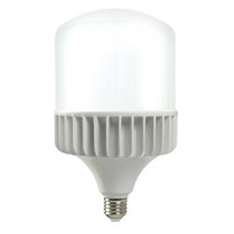 포커스 신광 LED 하이크림벌브 공장등 60W E26, 주광색, 1개