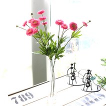 다우에프앤지 조화 멜라루카 데이지 3p, 뷰티