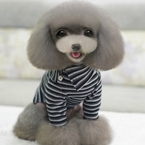 쁘띠도그 사선단추 티셔츠, 블랙
