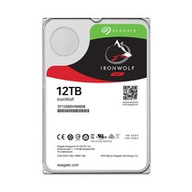 씨게이트 서버용 아이언울프 3.5 HDD, ST12000VN0008, 12TB